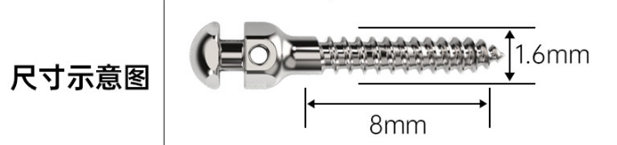 ORT101  Orthodontic Screw